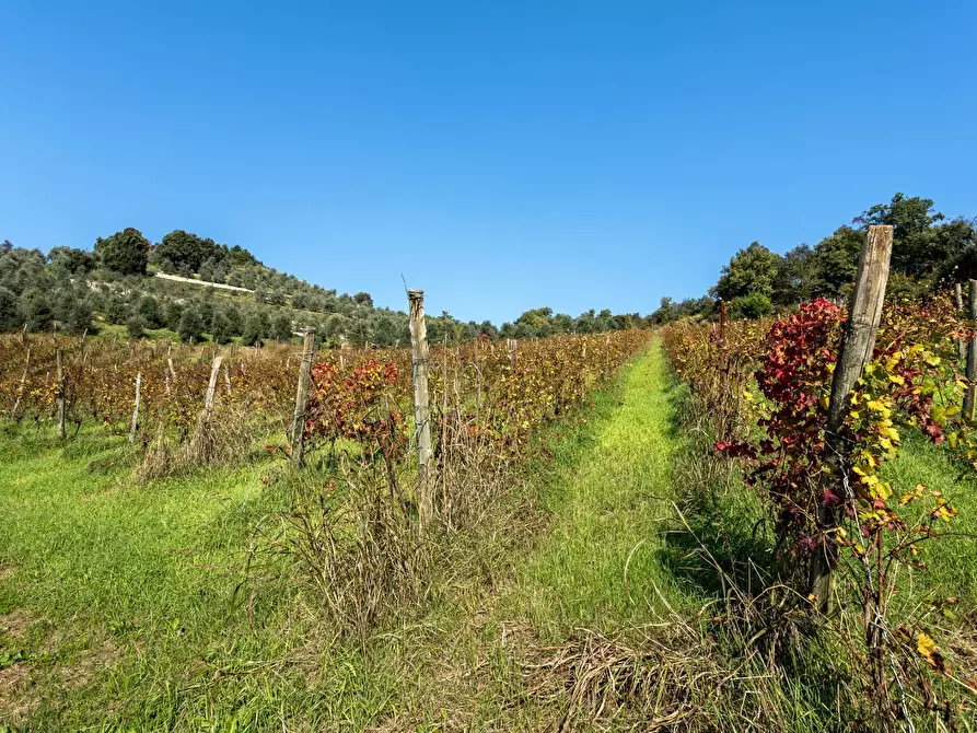 Immagine 35 di Villa in vendita  in Via Medolago a Scanzorosciate