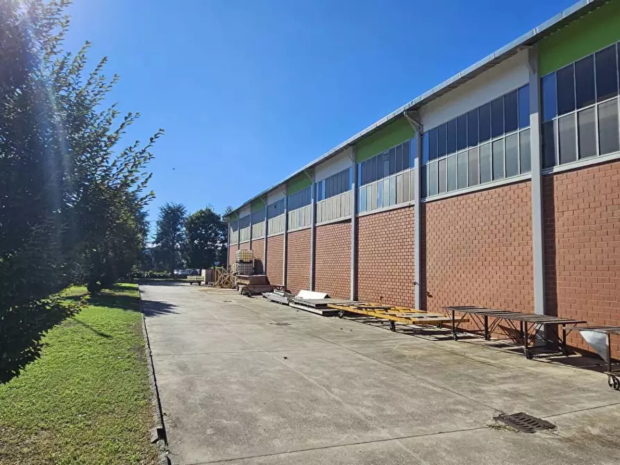 Immagine 15 di Capannone industriale in vendita  in VIA PROVINCIALE 581 a Urgnano