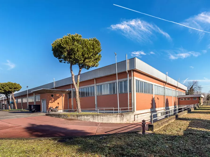 Immagine 7 di Capannone industriale in vendita  in via provinciale a Urgnano