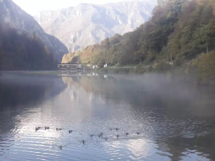 Immagine 19 di Rustico / casale in vendita  in Via Miralago a Algua