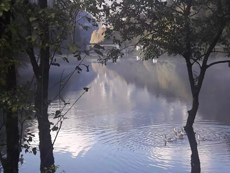 Immagine 27 di Rustico / casale in vendita  in Via Miralago a Algua