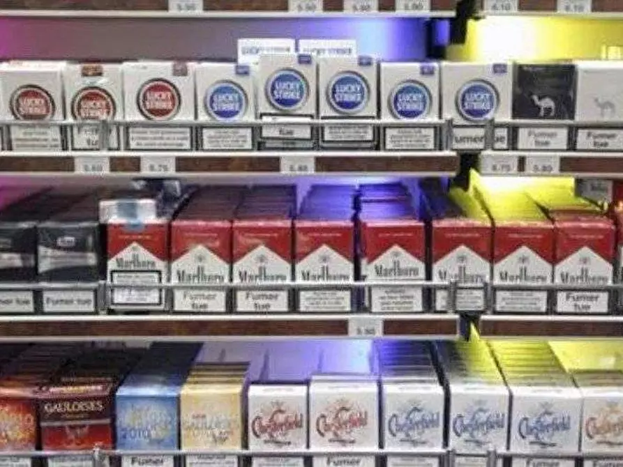 Immagine 3 di Attività commerciale in vendita  in piazza risorgimento a Bergamo