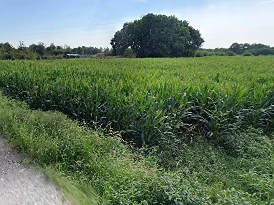 Immagine 12 di Terreno agricolo in vendita  in Via San Geminiano a Almenno San Bartolomeo