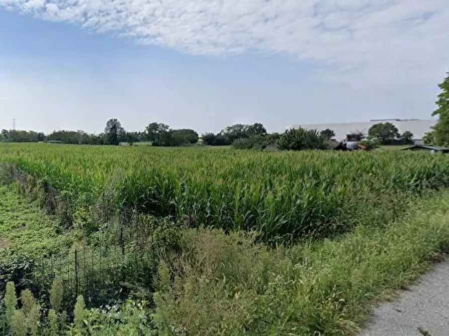 Immagine 3 di Terreno agricolo in vendita  in Via San Geminiano a Almenno San Bartolomeo