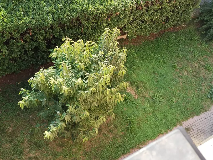 Immagine 25 di Villa in vendita  in Via circonvallazione a Fontanella