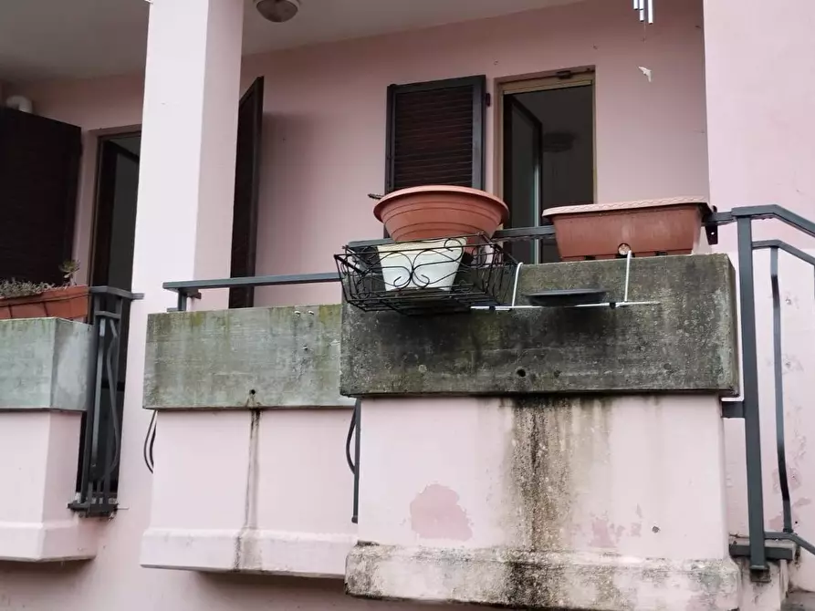 Immagine 4 di Appartamento in vendita  in via dei gelsi 20 a Brugherio