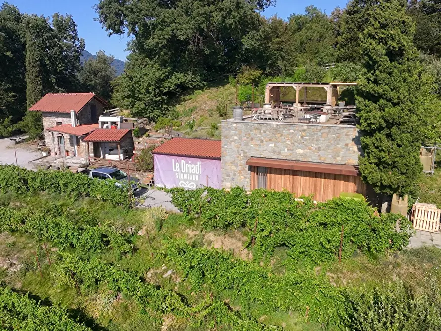 Immagine 8 di Rustico / casale in vendita  in Sentiero Capietaglio-Belvedere a Palazzago