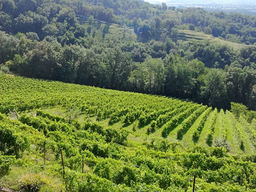 Immagine 12 di Rustico / casale in vendita  in Sentiero Capietaglio-Belvedere a Palazzago