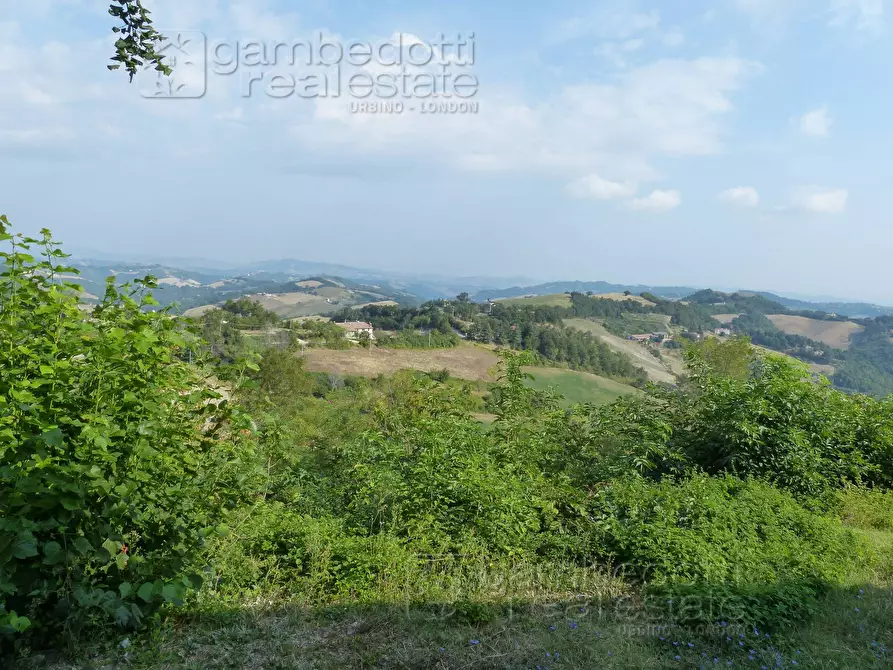 Immagine 30 di Casa indipendente in vendita  a Urbino