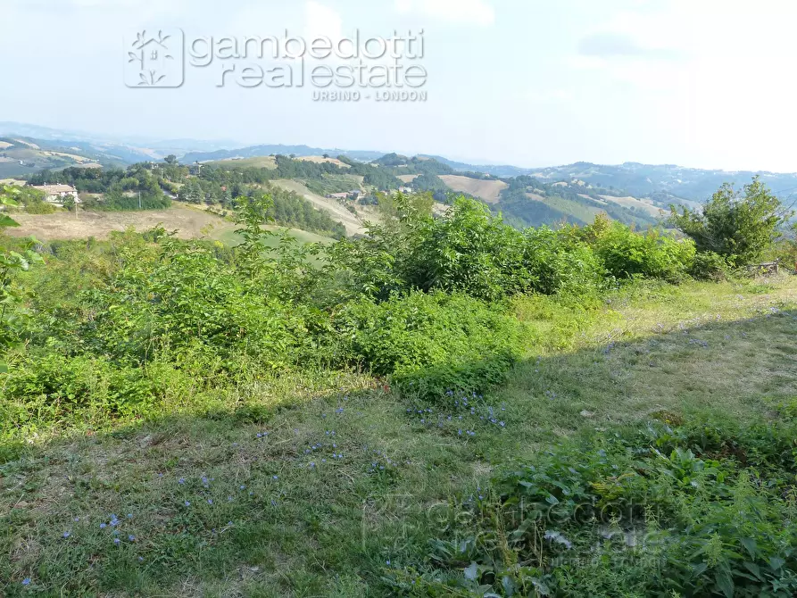 Immagine 32 di Casa indipendente in vendita  a Urbino