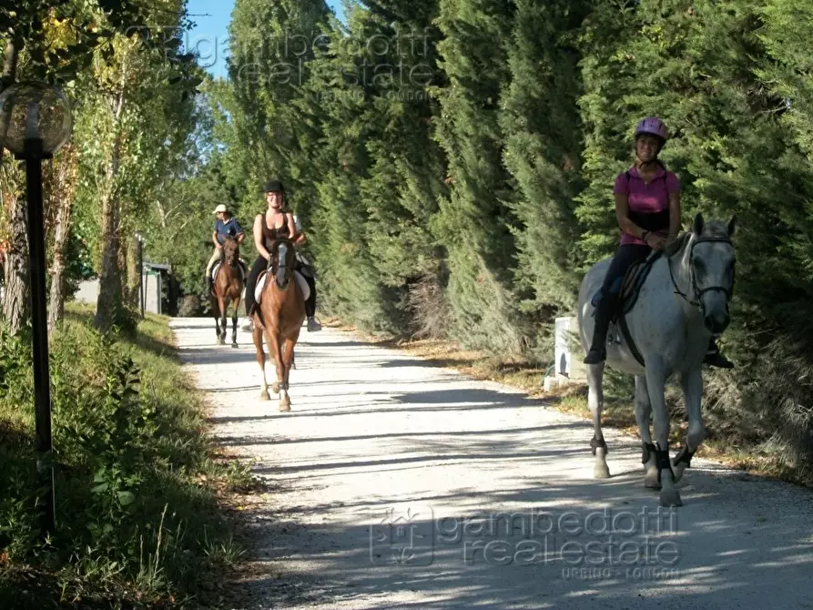 Immagine 20 di Attività commerciale in vendita  a Pesaro