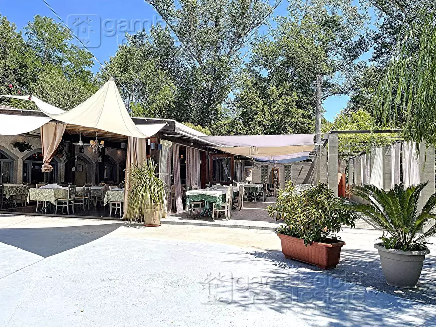 Immagine 33 di Attività commerciale in vendita  a Mondaino