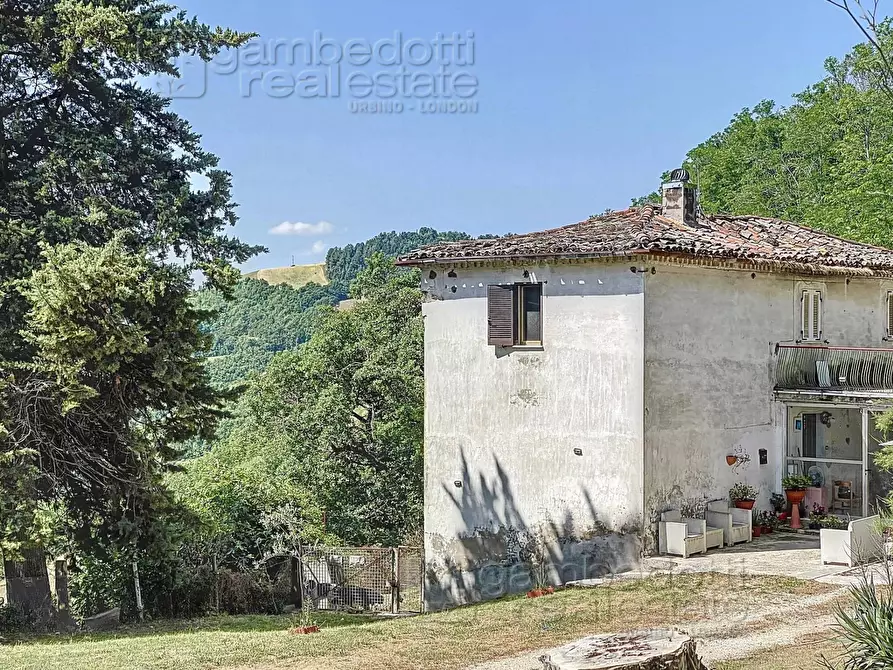 Immagine 2 di Rustico / casale in vendita  a Urbino