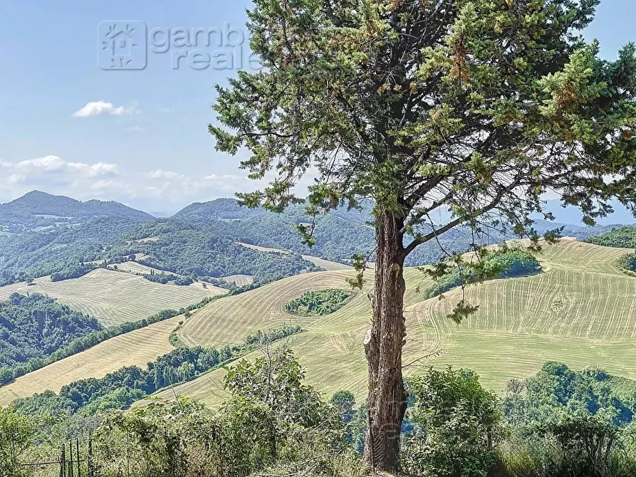Immagine 21 di Rustico / casale in vendita  a Urbino