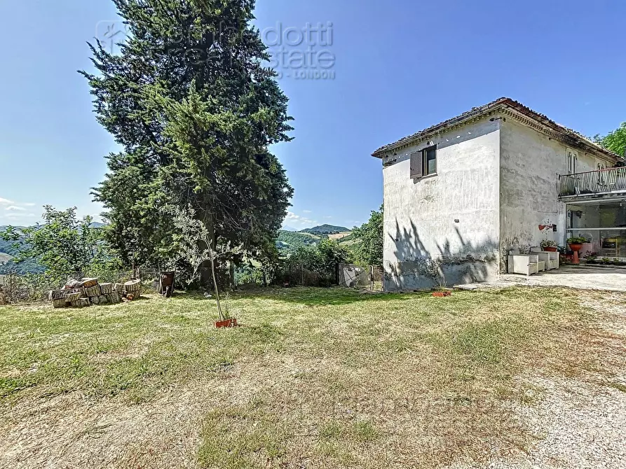 Immagine 23 di Rustico / casale in vendita  a Urbino