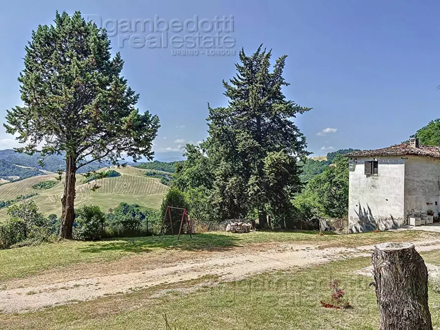 Immagine 30 di Rustico / casale in vendita  a Urbino