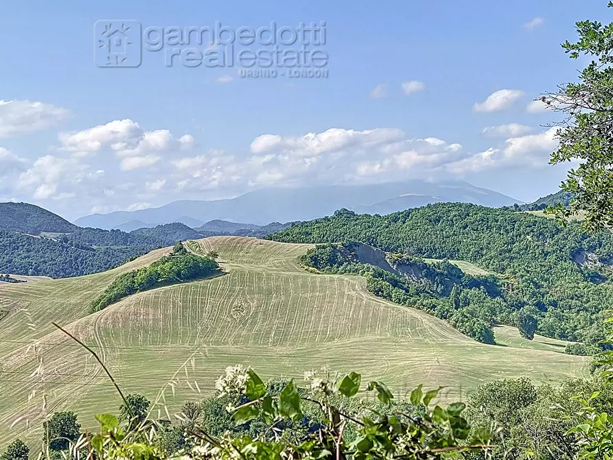 Immagine 32 di Rustico / casale in vendita  a Urbino