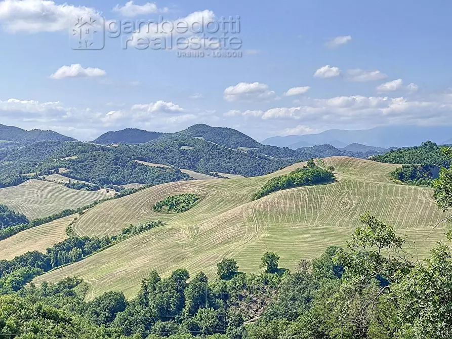Immagine 17 di Rustico / casale in vendita  a Urbino