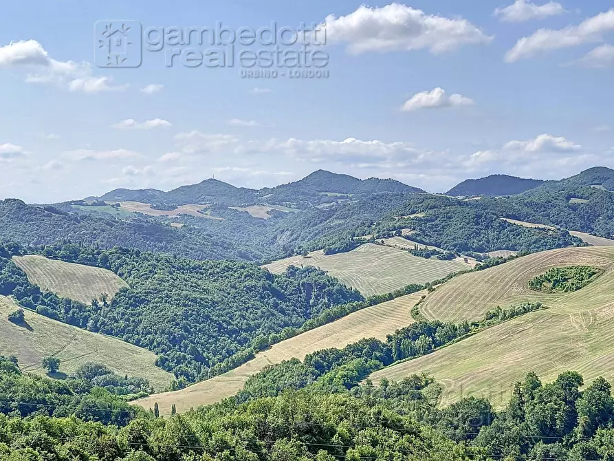 Immagine 31 di Rustico / casale in vendita  a Urbino