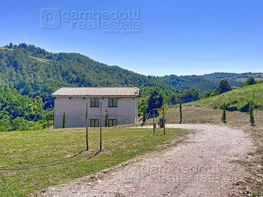 Immagine 2 di Casa indipendente in vendita  a Apecchio