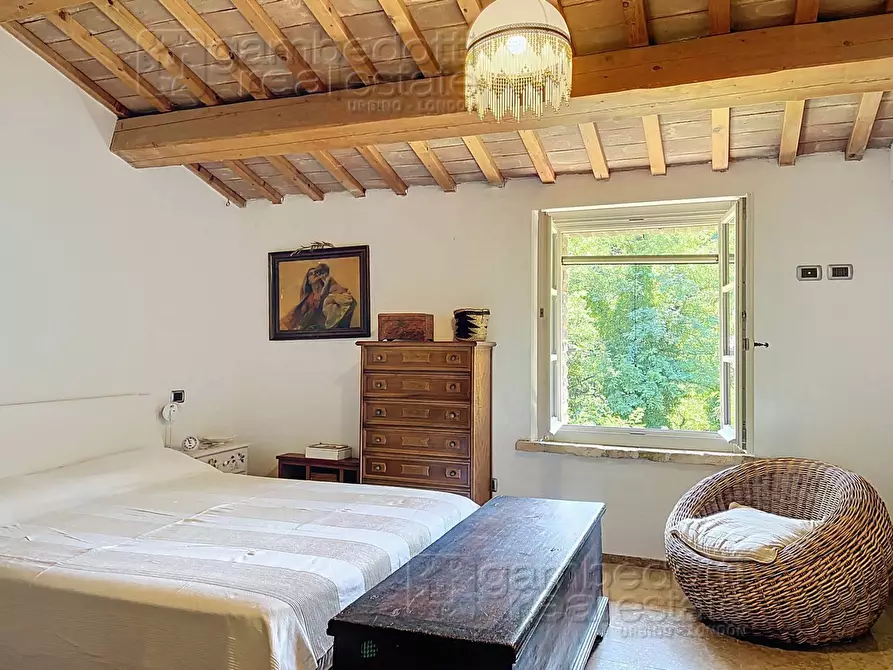 Immagine 102 di Villa in vendita  a Urbino