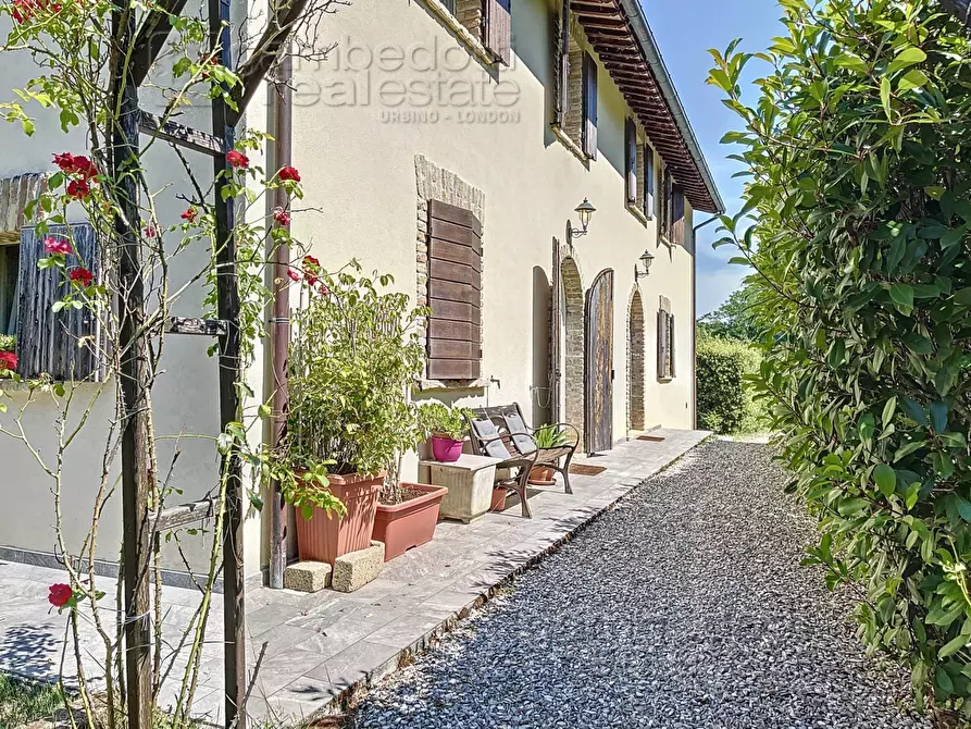 Immagine 132 di Villa in vendita  a Urbino