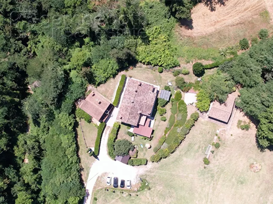 Immagine 155 di Villa in vendita  a Urbino