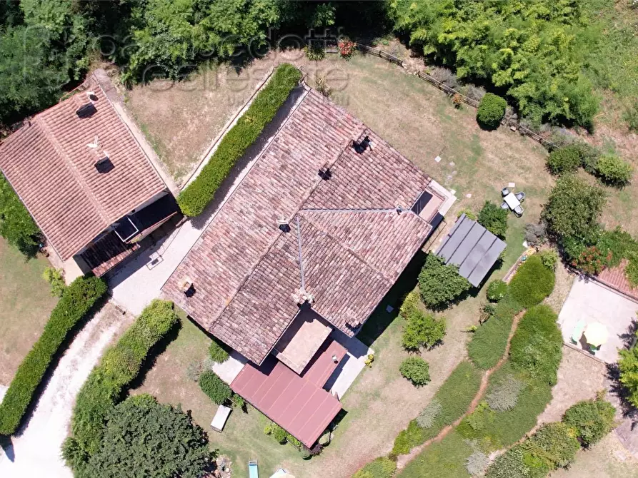 Immagine 151 di Villa in vendita  a Urbino