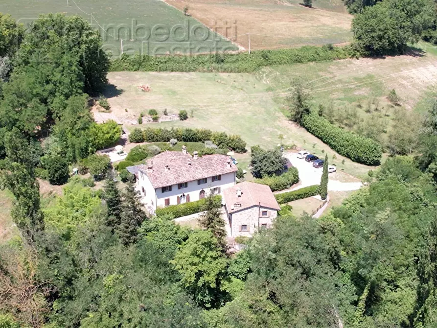 Immagine 154 di Villa in vendita  a Urbino