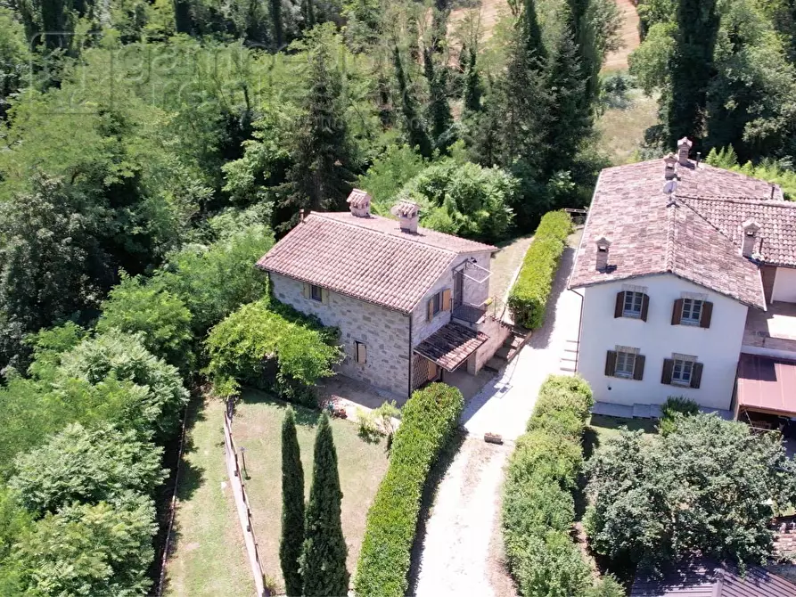 Immagine 152 di Villa in vendita  a Urbino