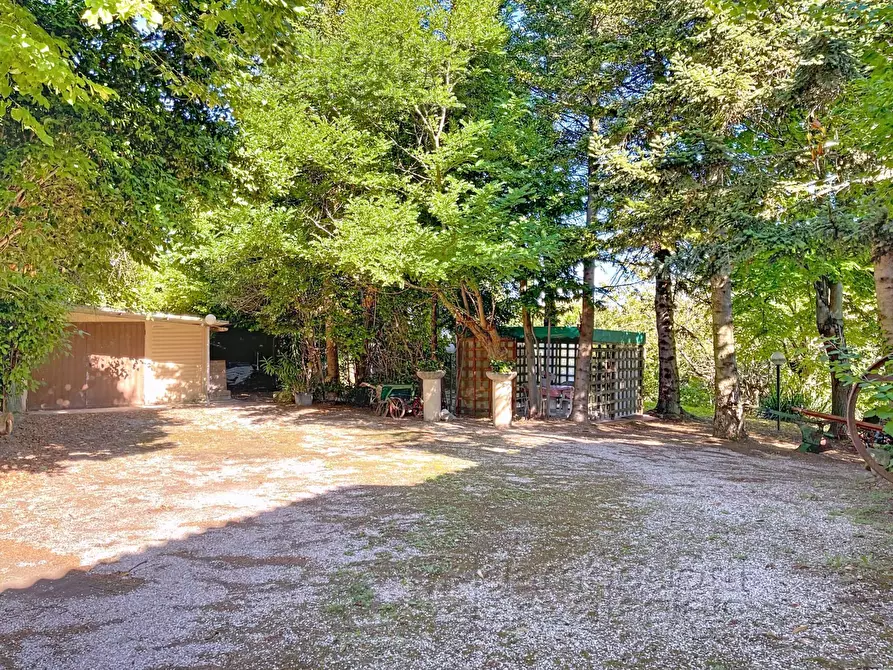 Immagine 4 di Casa indipendente in vendita  a Isola Del Piano