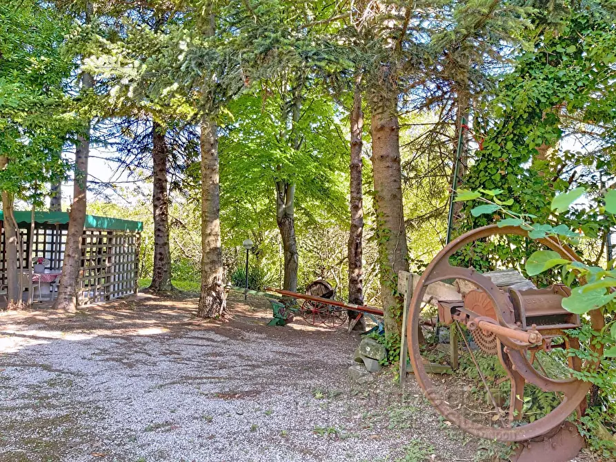 Immagine 68 di Casa indipendente in vendita  a Isola Del Piano