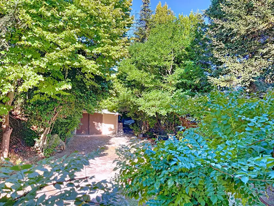 Immagine 74 di Casa indipendente in vendita  a Isola Del Piano