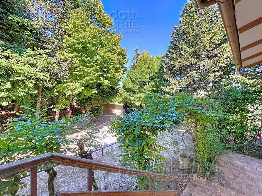 Immagine 36 di Casa indipendente in vendita  a Isola Del Piano