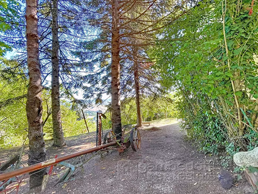 Immagine 64 di Casa indipendente in vendita  a Isola Del Piano