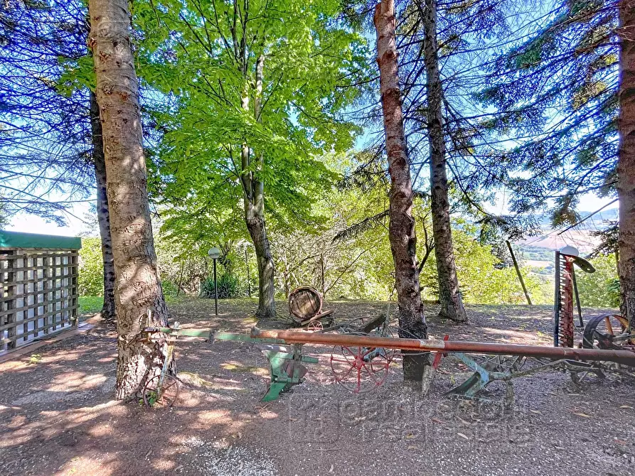 Immagine 70 di Casa indipendente in vendita  a Isola Del Piano