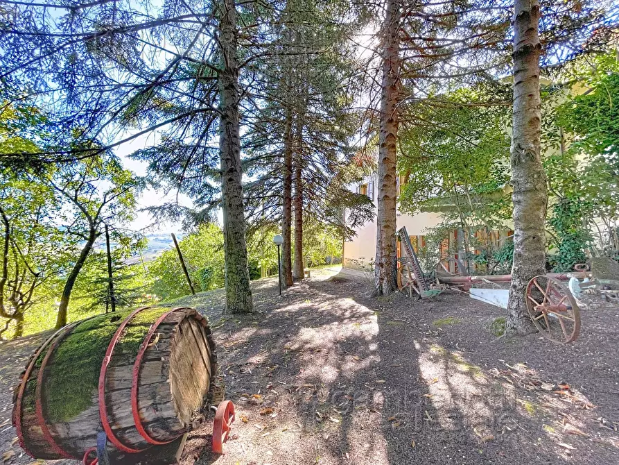 Immagine 38 di Casa indipendente in vendita  a Isola Del Piano