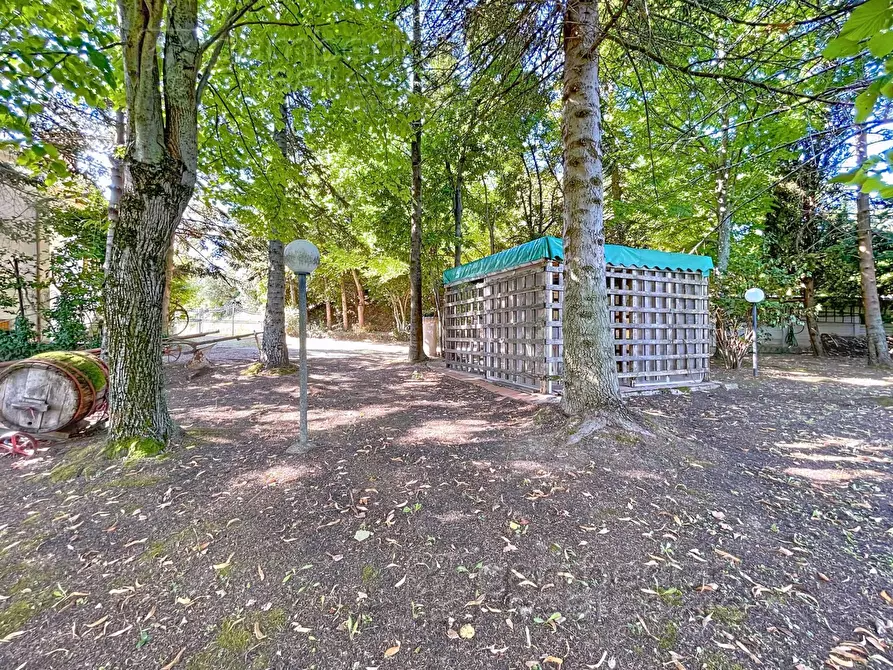 Immagine 71 di Casa indipendente in vendita  a Isola Del Piano