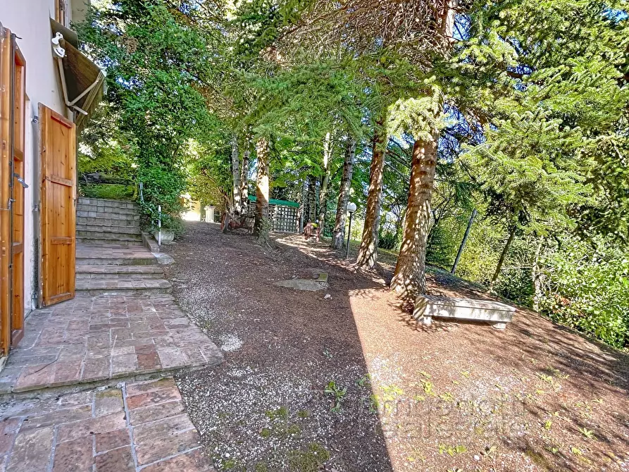 Immagine 39 di Casa indipendente in vendita  a Isola Del Piano