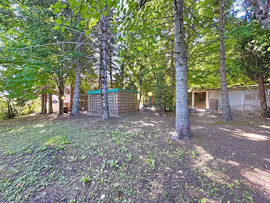 Immagine 73 di Casa indipendente in vendita  a Isola Del Piano