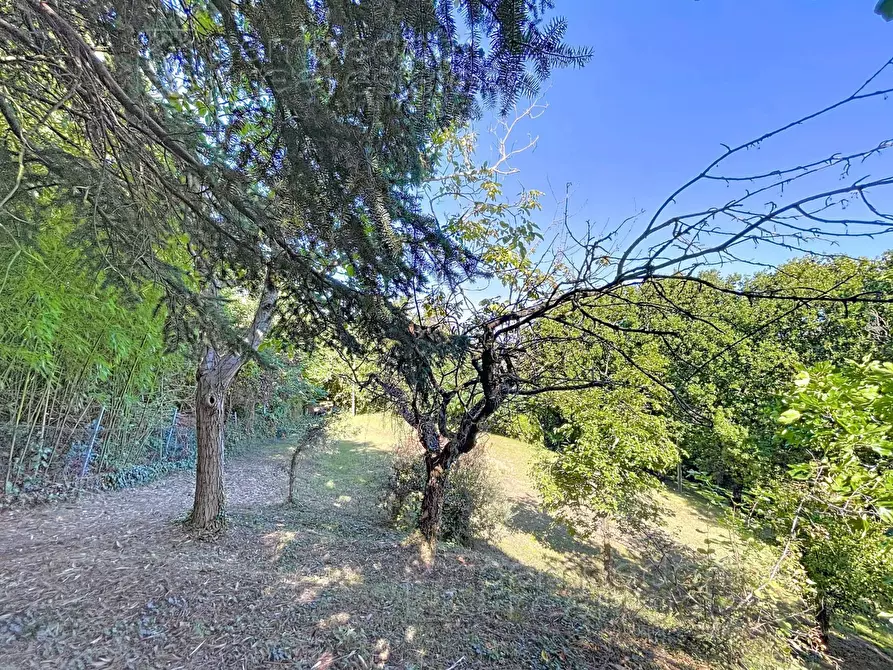 Immagine 76 di Casa indipendente in vendita  a Isola Del Piano