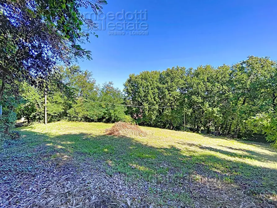 Immagine 77 di Casa indipendente in vendita  a Isola Del Piano