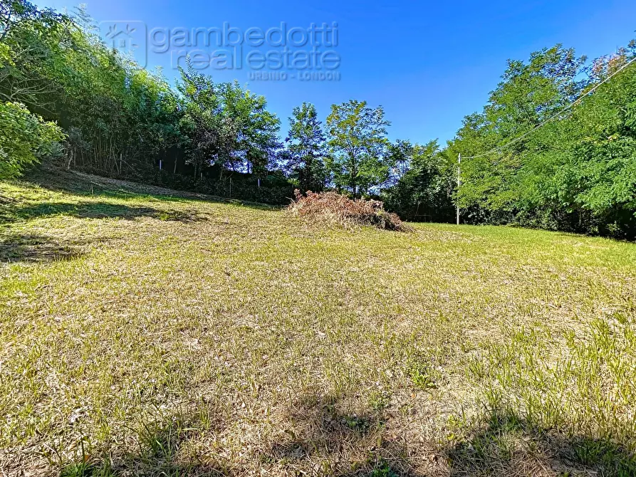 Immagine 79 di Casa indipendente in vendita  a Isola Del Piano