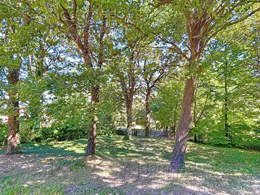 Immagine 81 di Casa indipendente in vendita  a Isola Del Piano