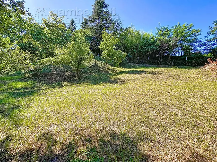 Immagine 80 di Casa indipendente in vendita  a Isola Del Piano