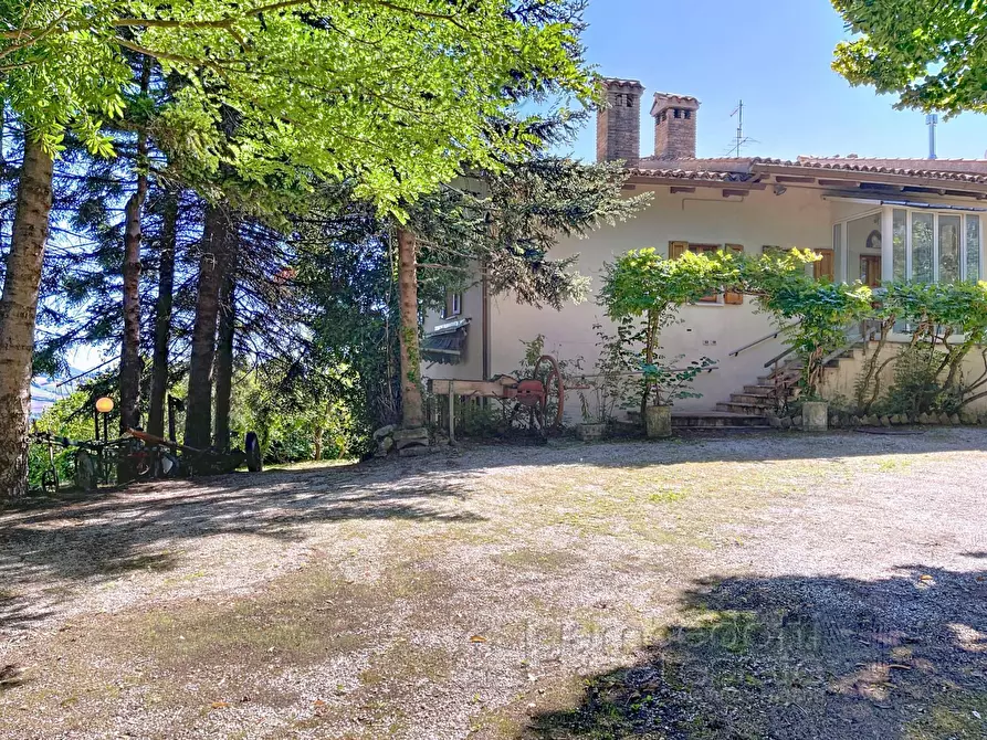 Immagine 5 di Casa indipendente in vendita  a Isola Del Piano