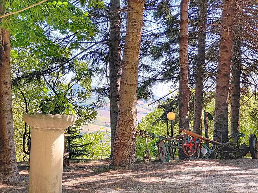 Immagine 66 di Casa indipendente in vendita  a Isola Del Piano