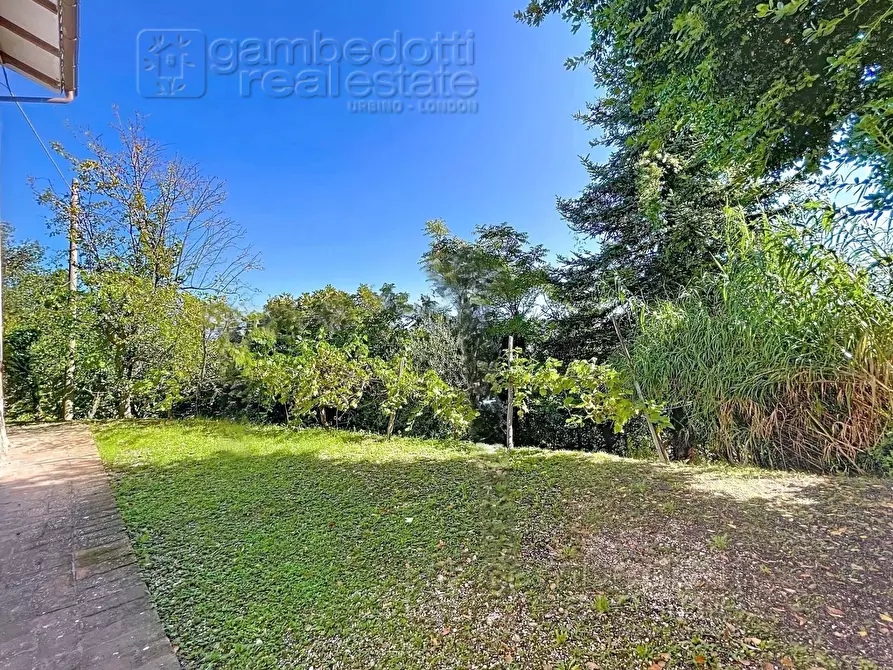 Immagine 62 di Casa indipendente in vendita  a Isola Del Piano