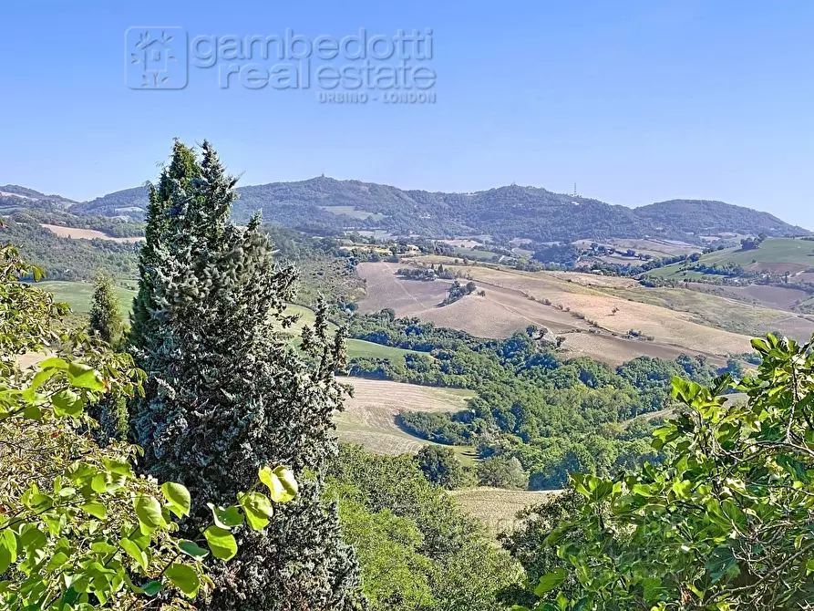 Immagine 63 di Casa indipendente in vendita  a Isola Del Piano