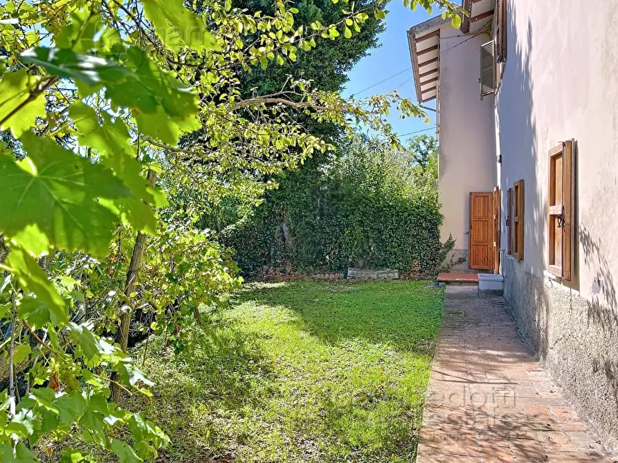 Immagine 60 di Casa indipendente in vendita  a Isola Del Piano